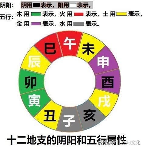 辰的五行|【辰字五行】探索辰字五行：它的屬性和意義